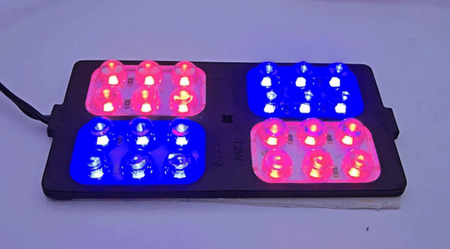 Lampa LED migająca 12V czerwono-niebieska 24 LED 49x105mm