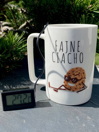 Panelowy termometr LCD od -50°C do 100°C czarny