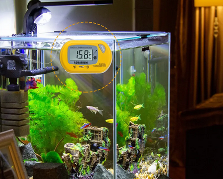 Termometr cyfrowy + sonda akwarystyczny -50°C~70°C